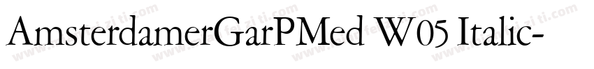 AmsterdamerGarPMed W05 Italic字体转换